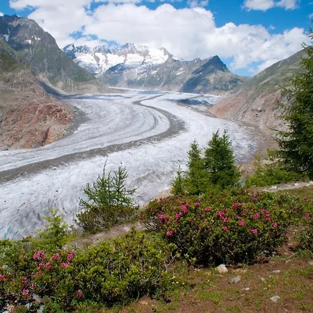 Apartman Balfrin Alpweg 9, 3987 *