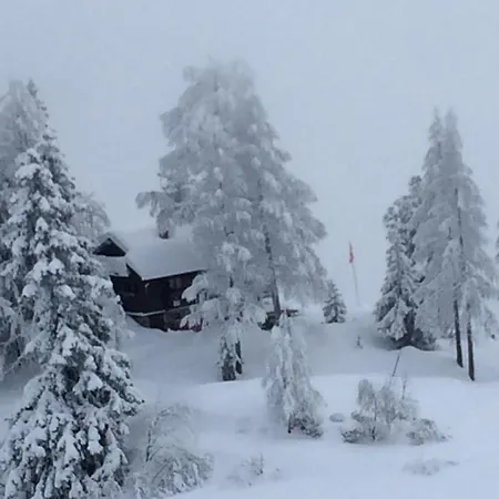 Balfrin Alpweg 9, 3987 * Riederalp