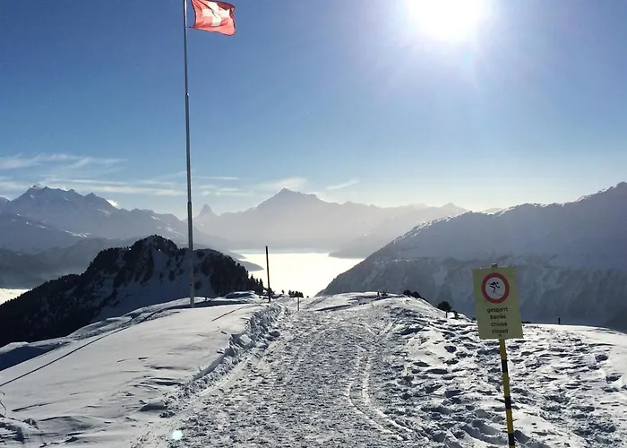 アパート Balfrin Alpweg 9, 3987