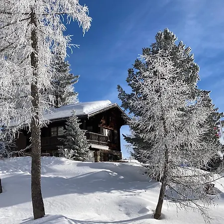 Balfrin Alpweg 9, 3987 شقة